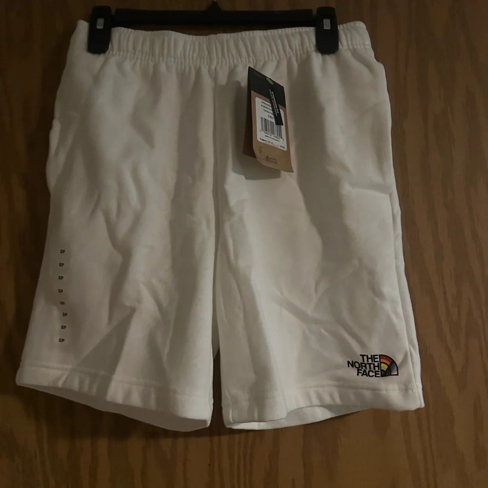 THE NORTH FACE PRIDE COLLECTION MEN’S NEVER STOP SHORTS: WHITE: NWT: SZ S